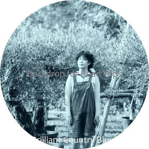 Brilliant Country Blues