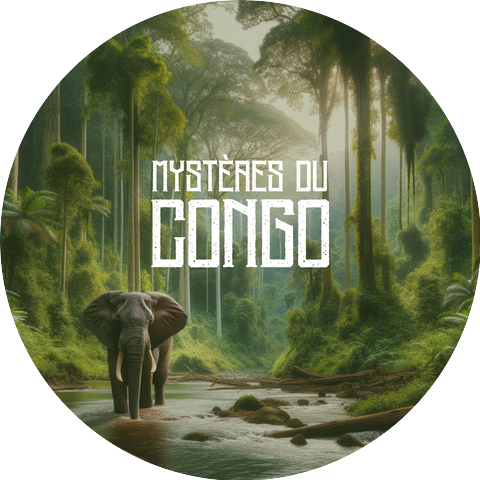 African Music Drums Collection