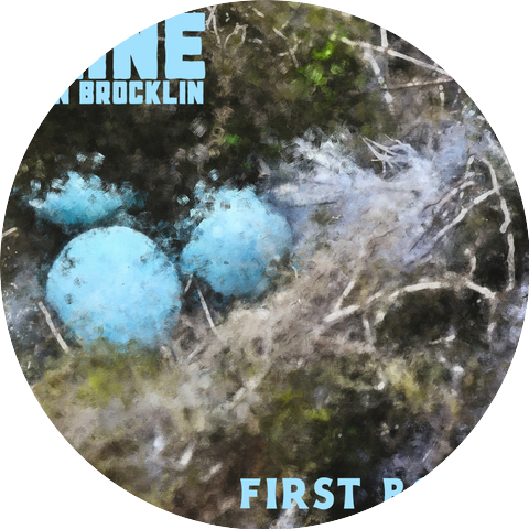Dane Van Brocklin