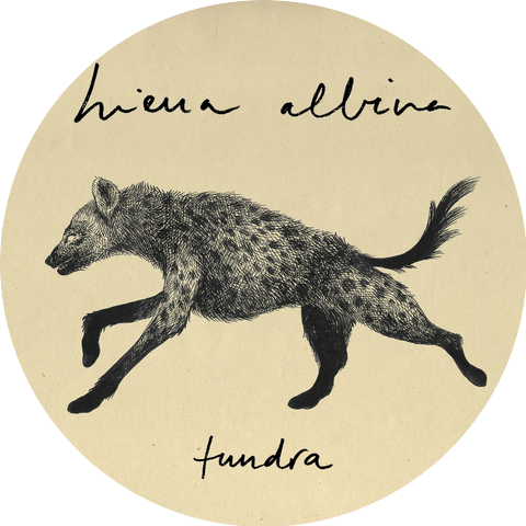 Hiena Albina