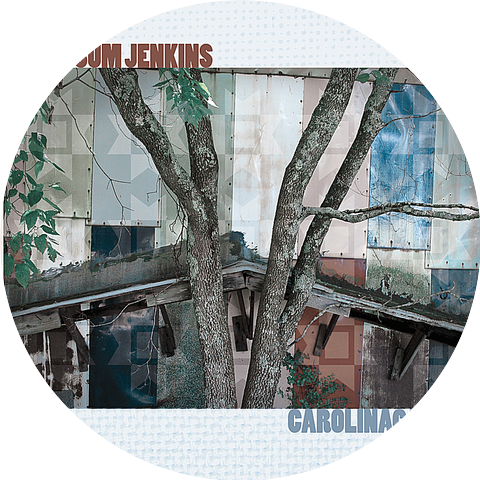Possum Jenkins