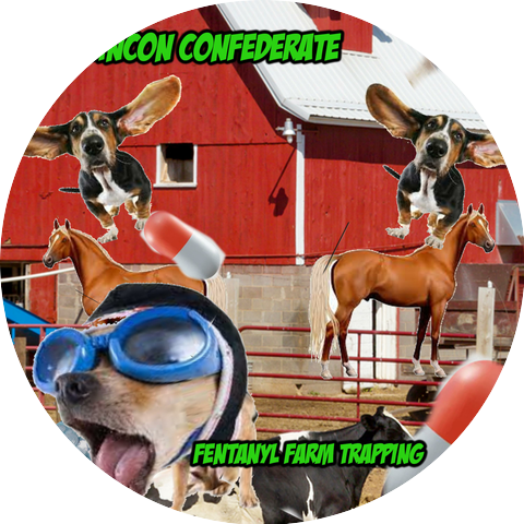 Bob Lincon Confederate