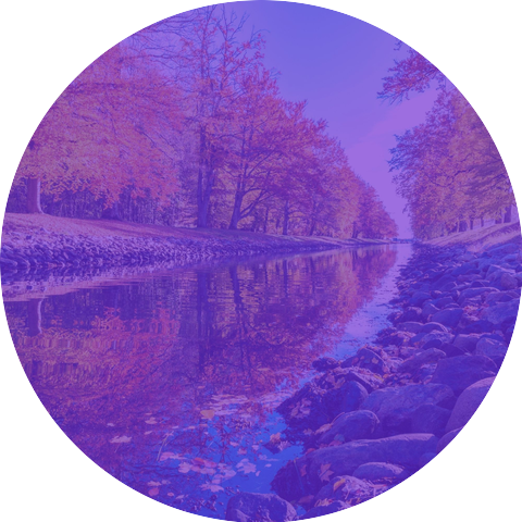 Armenian Duduk Collections