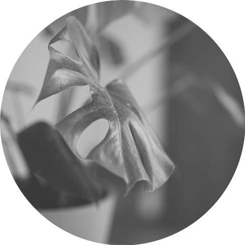 Armenian Duduk Luxury