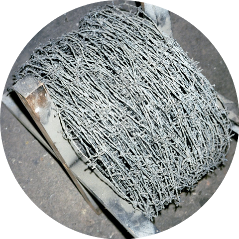 Justine Forever & Berezin