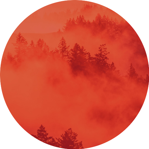 Fashionable Armenian Duduk