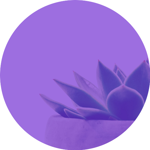 Elegant Armenian Duduk