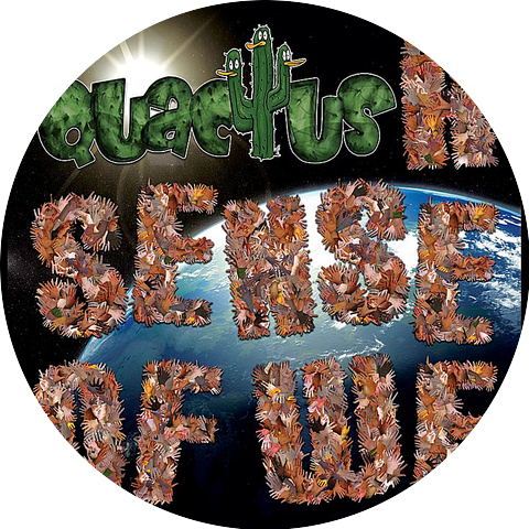 Quactus