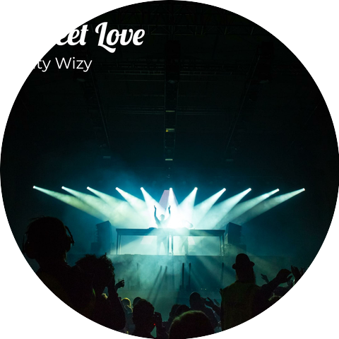 Laty Wizy