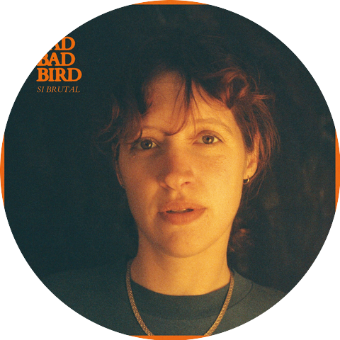 Bad Bad Bird