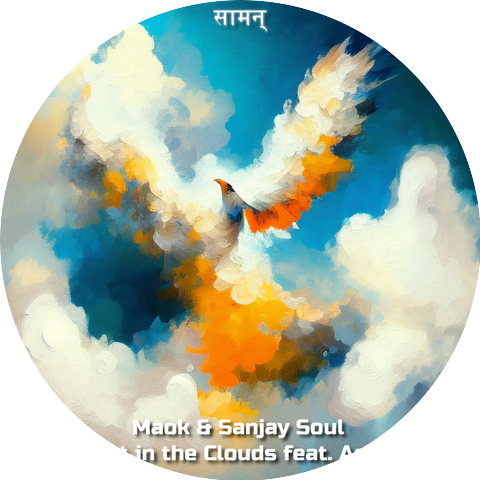 Sanjay Soul