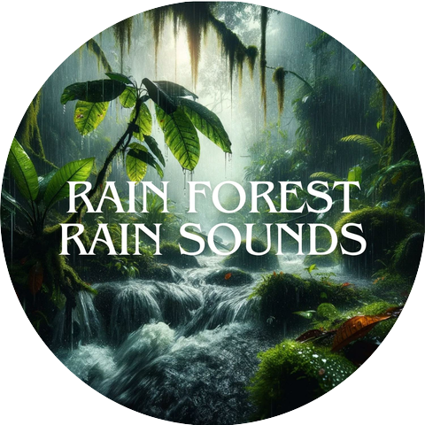 Rain Music