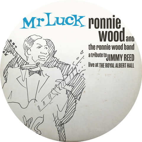 Ronnie Wood & The Ronnie Wood Band