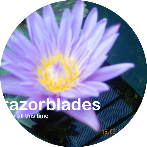 The Razorblades