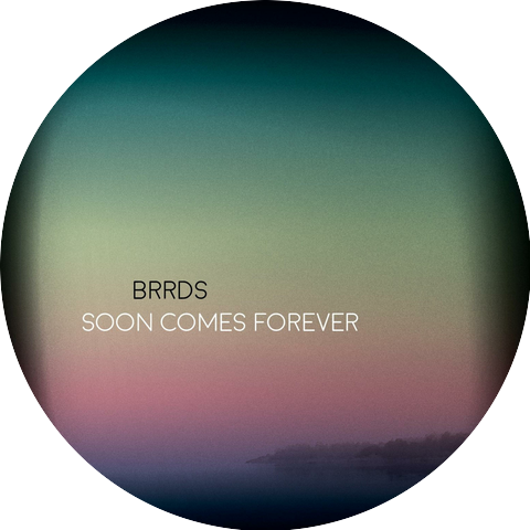 Brrds