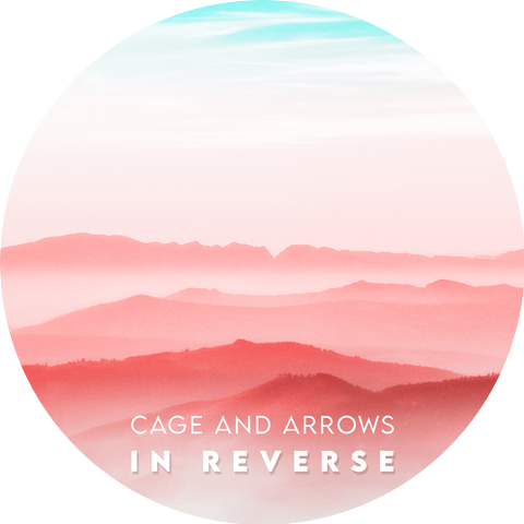 Cage And Arrows