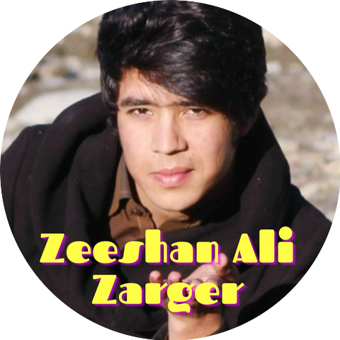 Zeeshan Ali Zargar