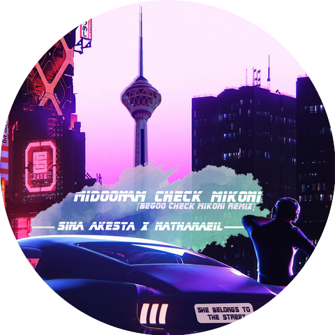 Sina Akesta and Arian Nathanaeil