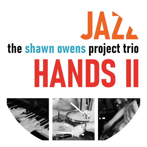 The Shawn Owens Project Trio