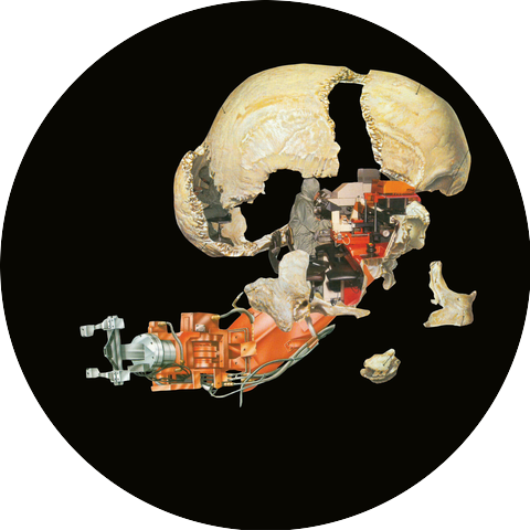 Polyphonic Exophilia