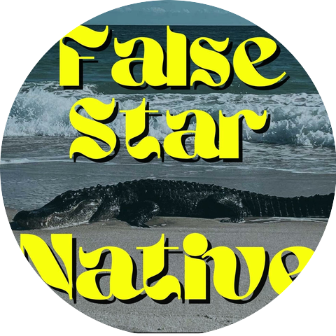 False Star