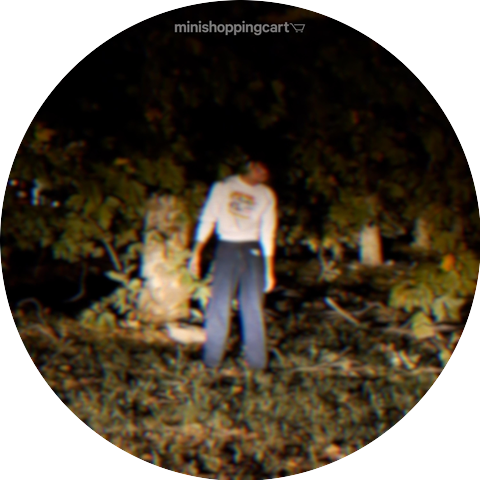 Minishoppingcart