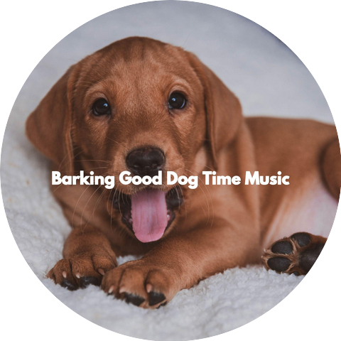 Relaxing Dog Music Beats