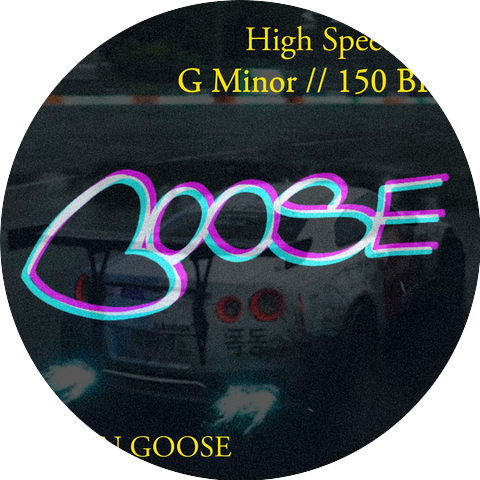 Goldn Goose