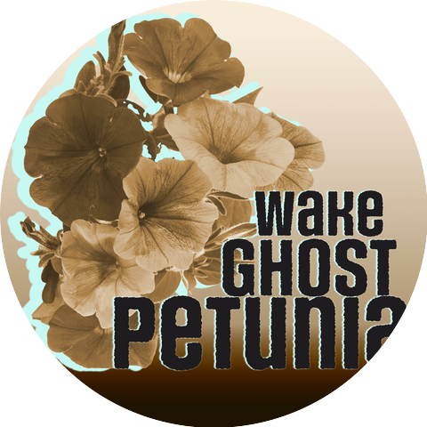Wake Ghost