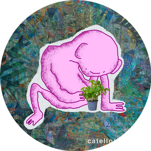 Catello