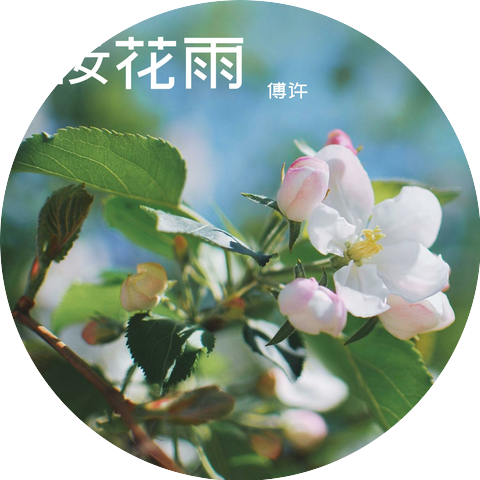 傅许