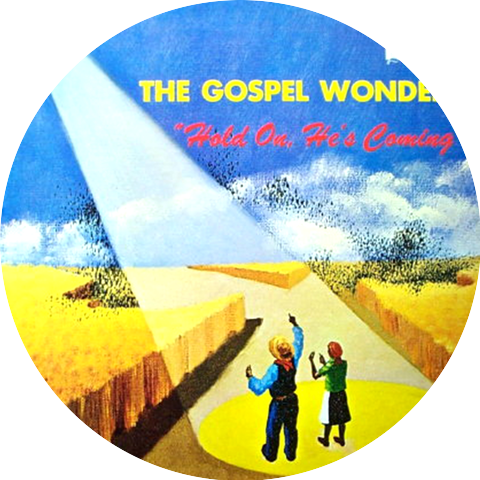 The Gospel Wonders