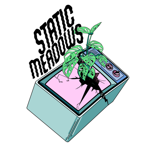 Static Meadows