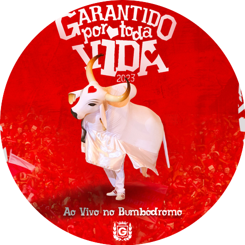 Boi Bumbá Garantido & Sebastião Jr.