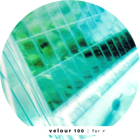 Velour 100