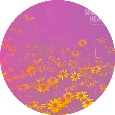 Sneaky Heat
