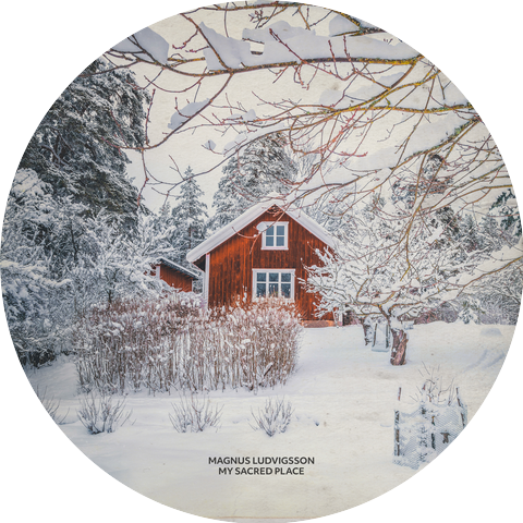 Magnus Ludvigsson