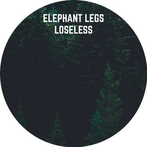 Elephant Legs