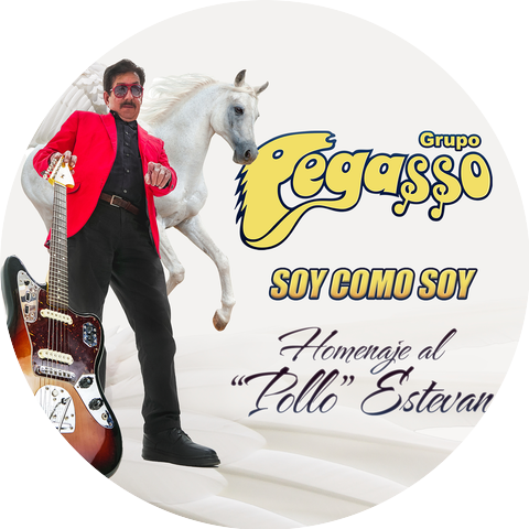 Grupo Pegasso and Grupo Pegasso del Pollo Estevan