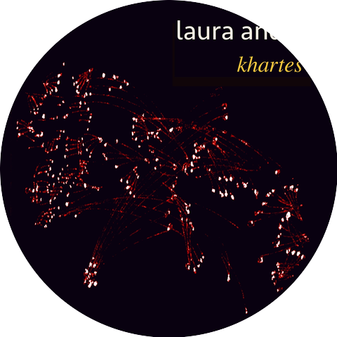 Laura Andel