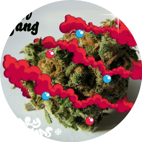 Piff Gang
