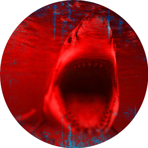 Blood Red Shark