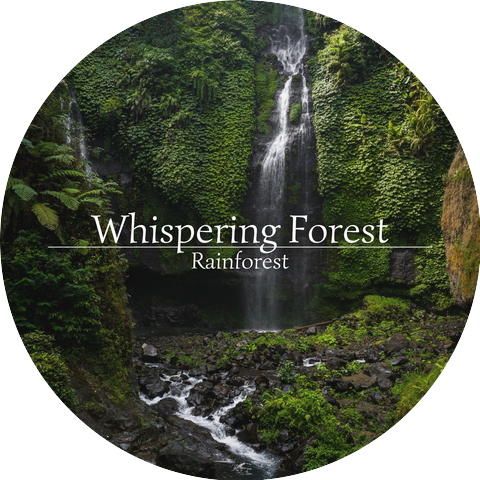 Whispering Forest