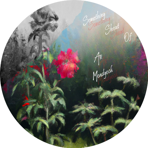 Avi Mondgock