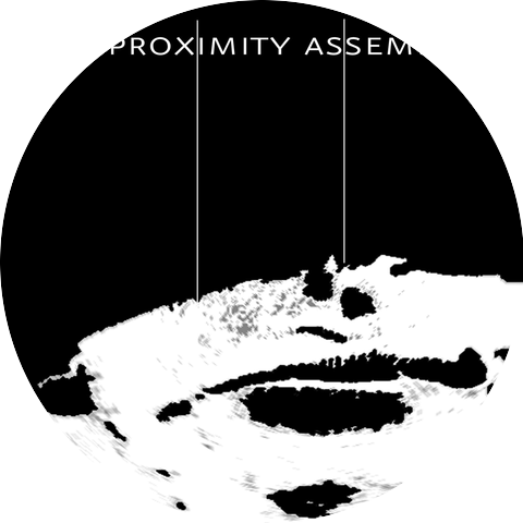 The Proximity Assembly