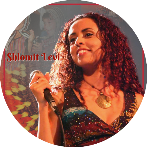 Shlomit Levi