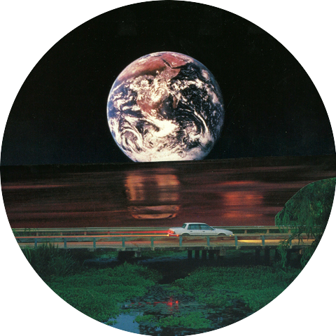 Michael Sanders