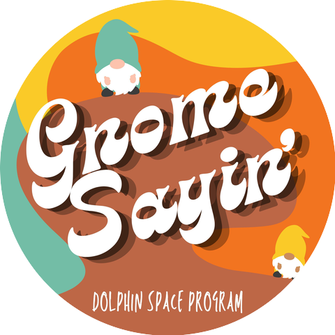 Dolphin Space Program