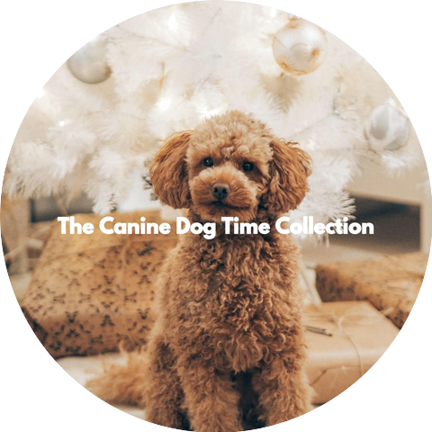 Fashionable Doggy Music