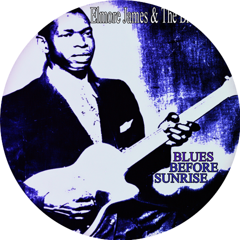 Elmore James And His Broomdusters
